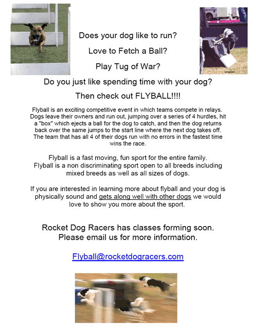 Flyball Class